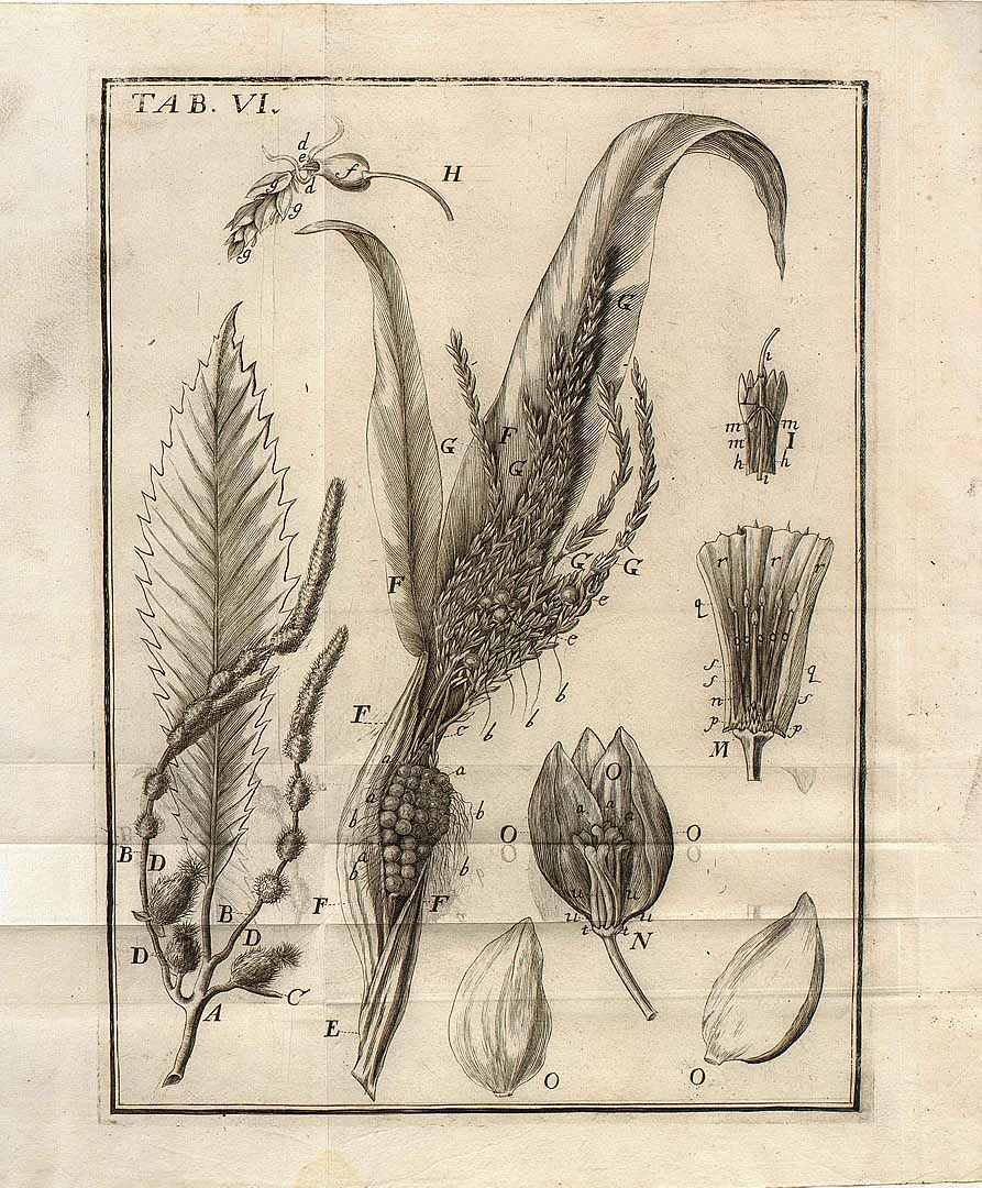 no HD illustration available (3)