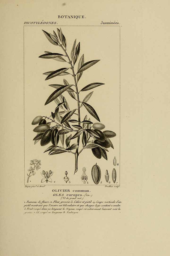 no HD illustration available (3)