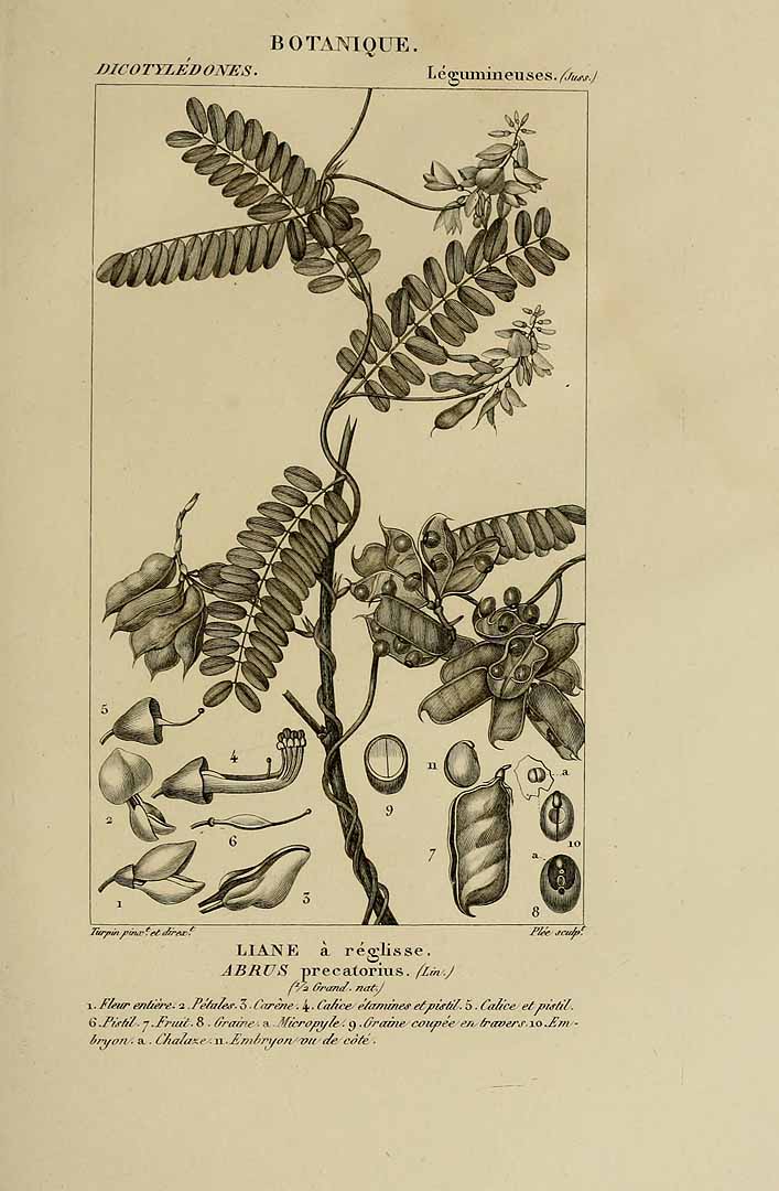 no HD illustration available (3)