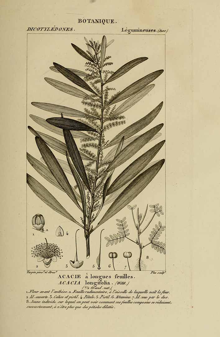 no HD illustration available (3)