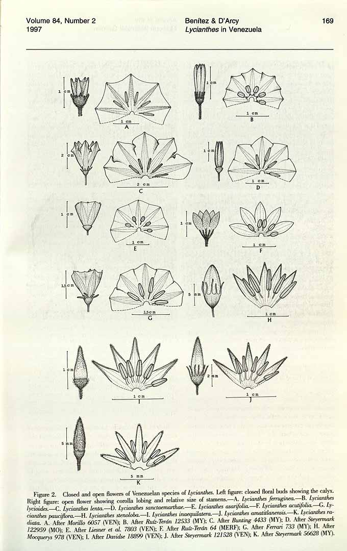 no HD illustration available (3)