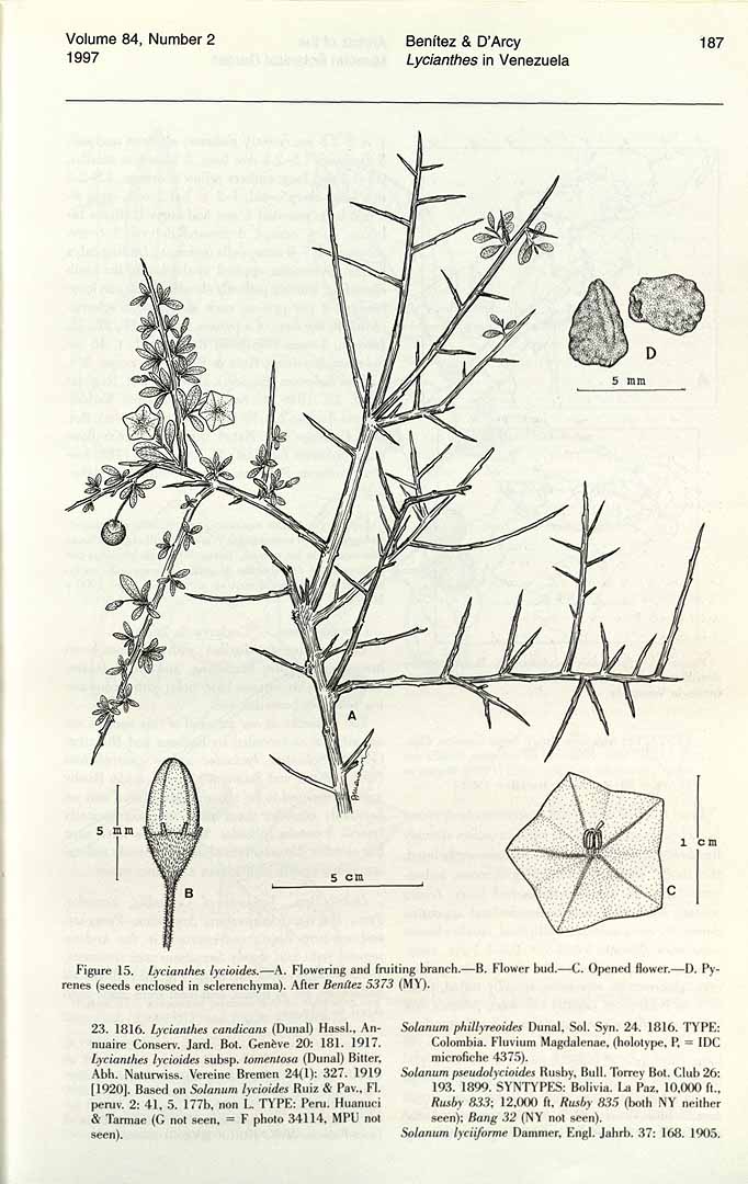 no HD illustration available (3)