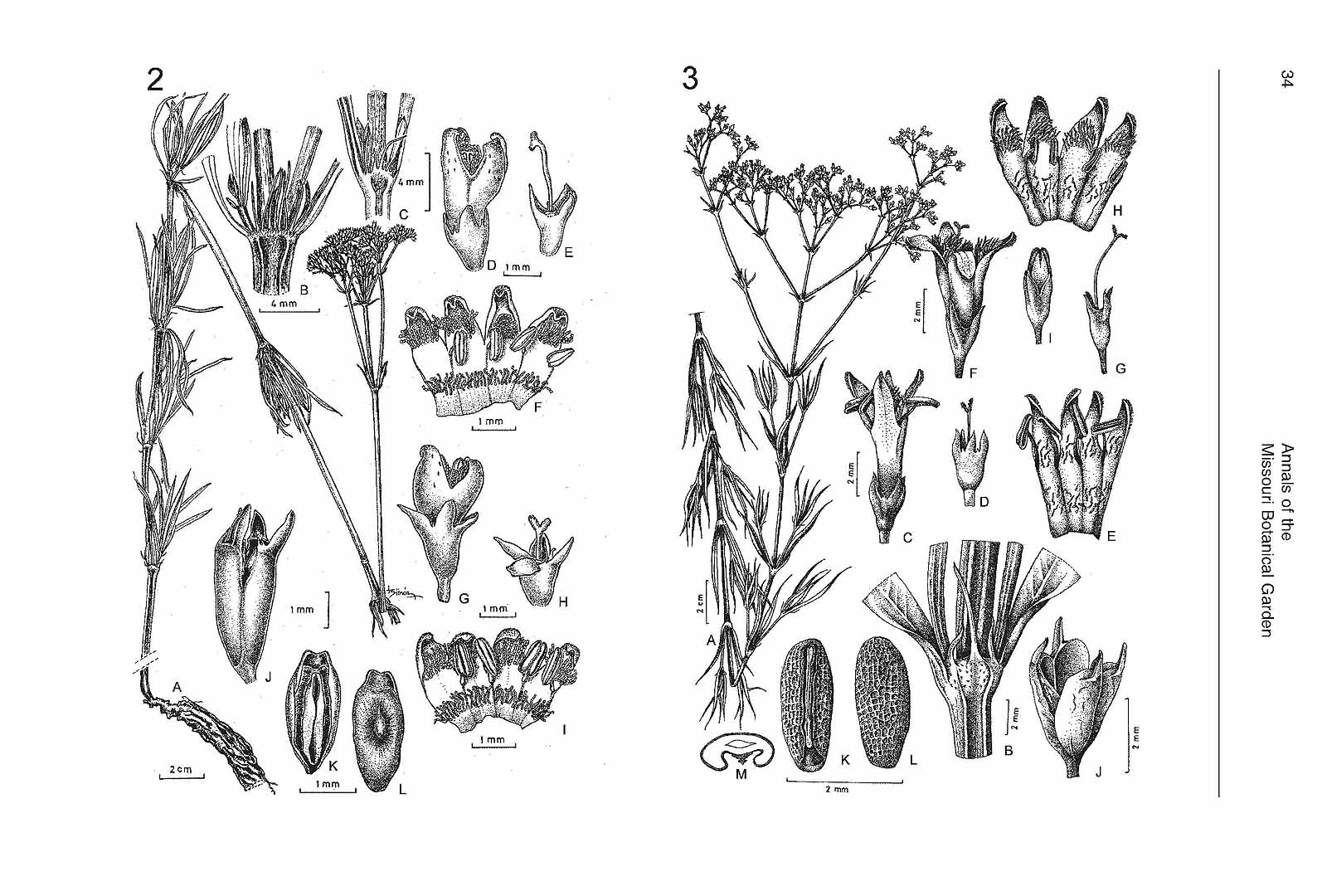 no HD illustration available (3)