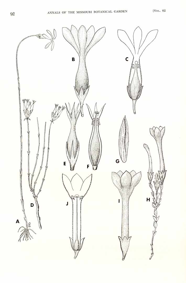 no HD illustration available (3)