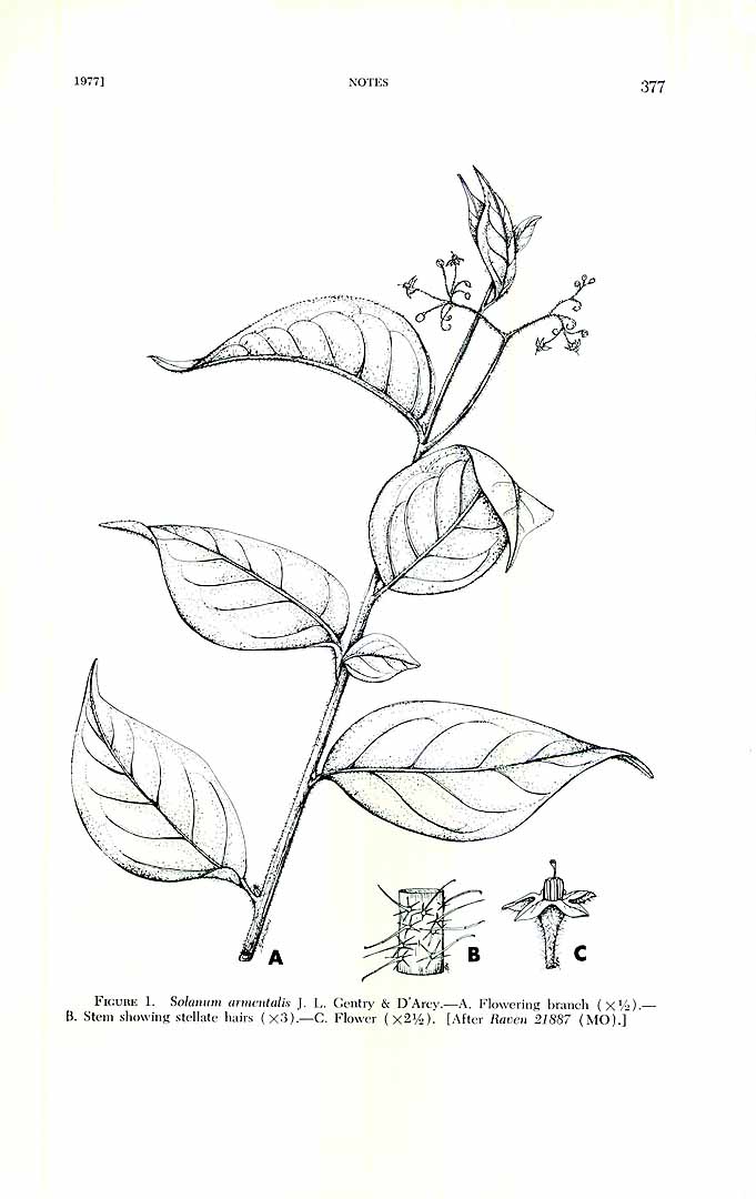 no HD illustration available (3)