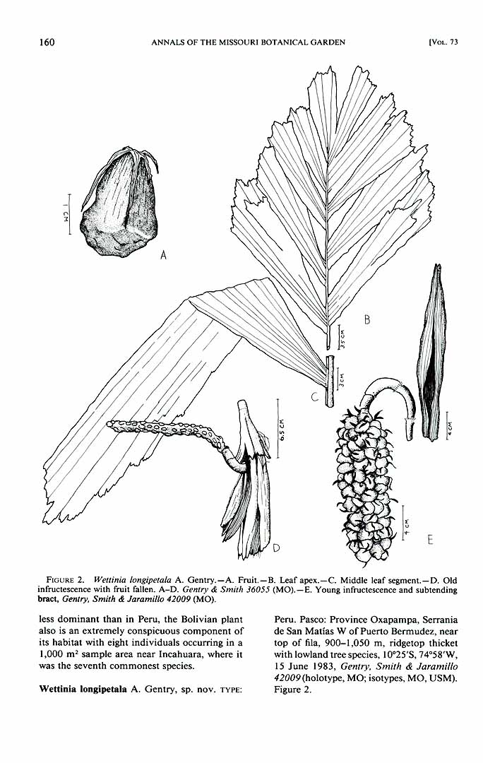 no HD illustration available (3)