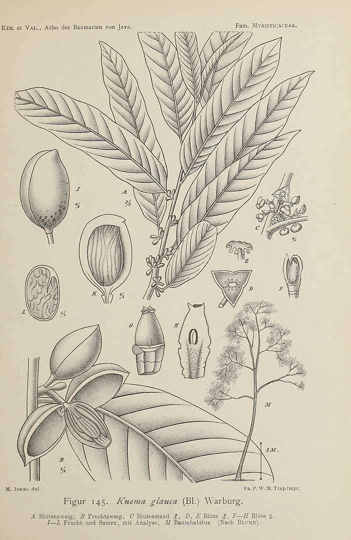 no HD illustration available (3)