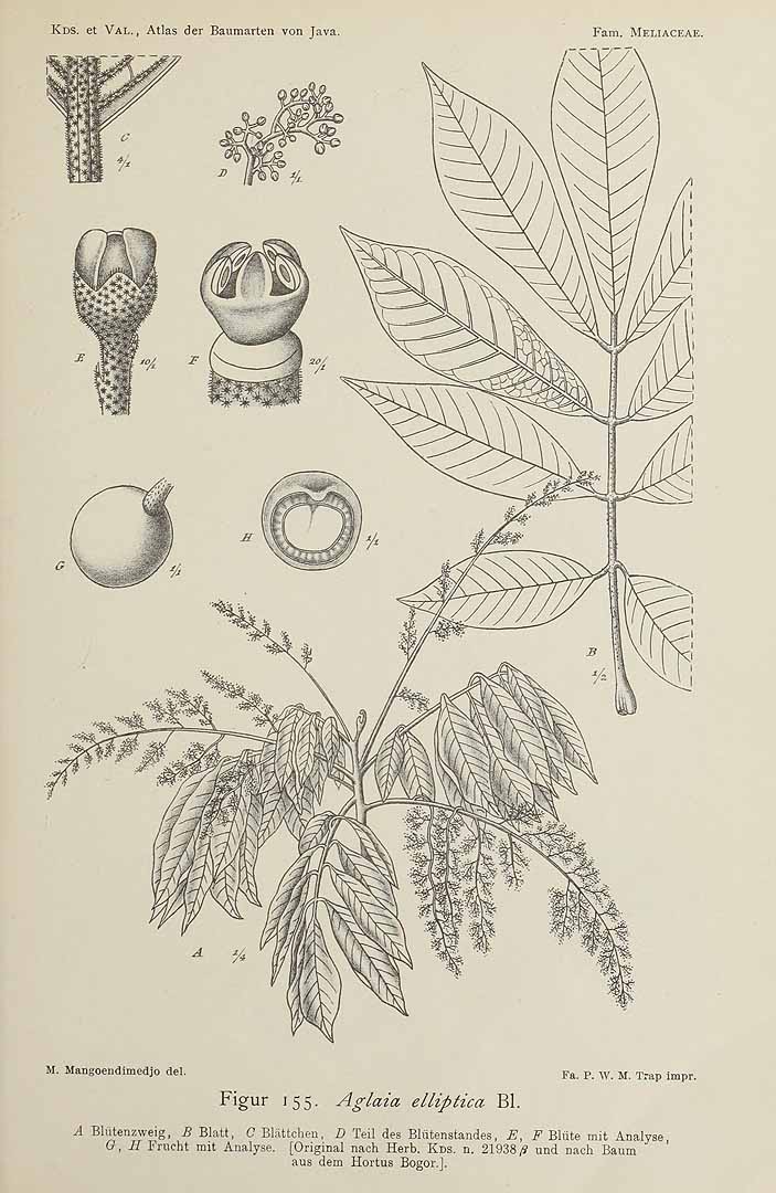 no HD illustration available (3)