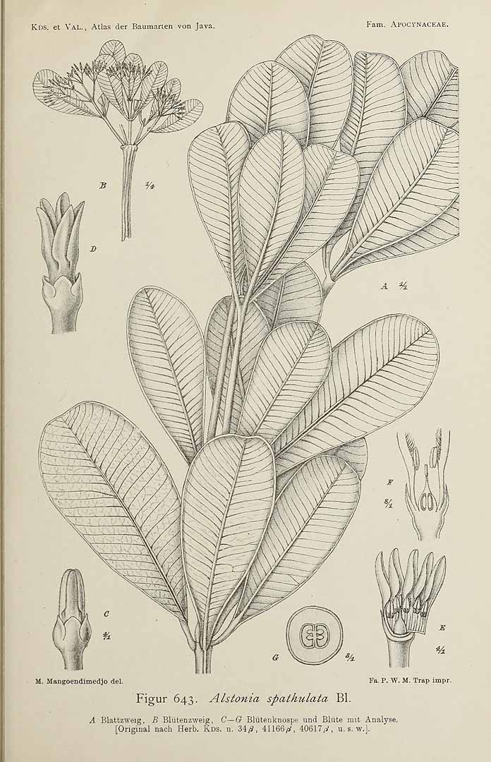 no HD illustration available (3)