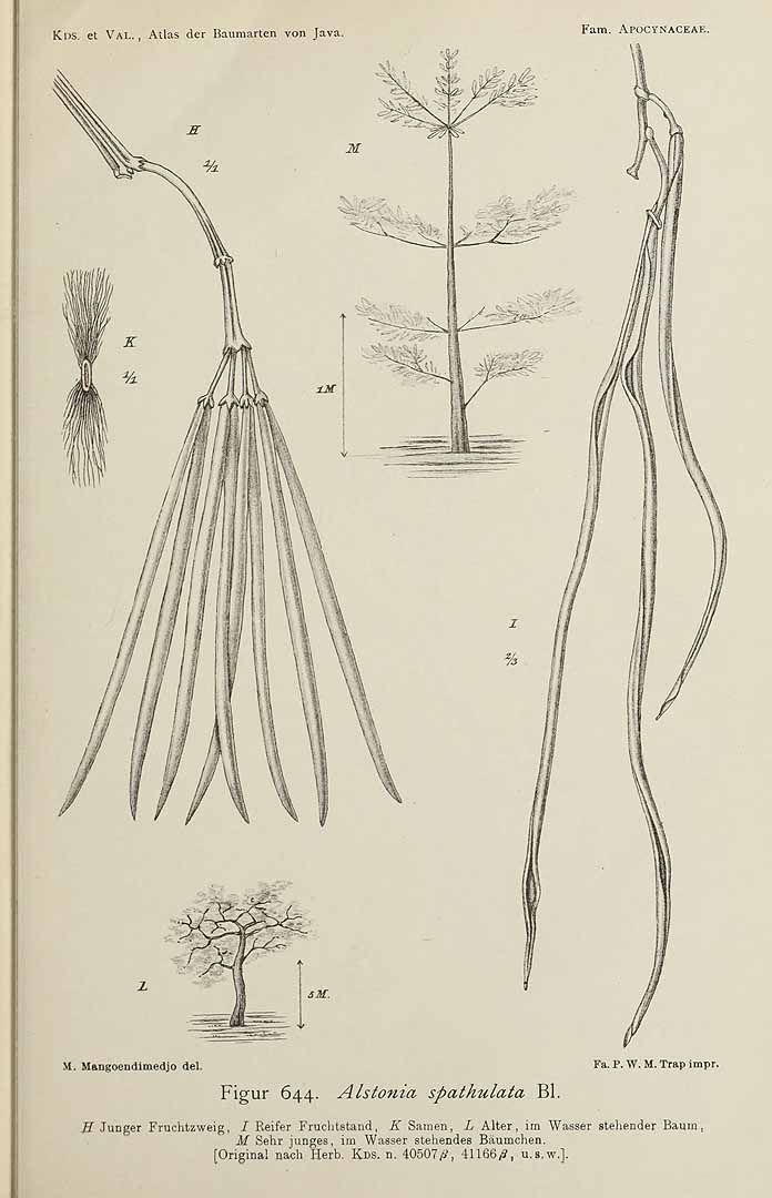 no HD illustration available (3)