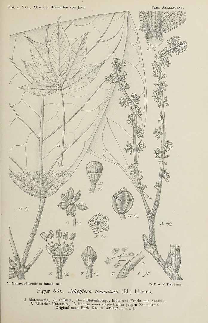 no HD illustration available (3)