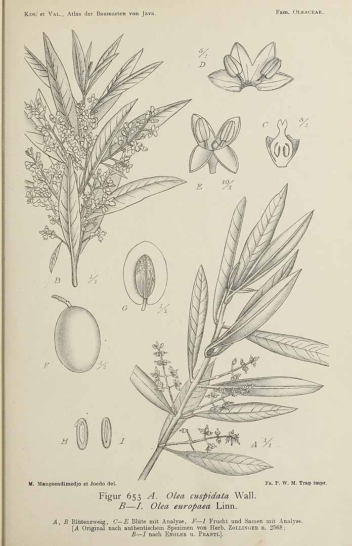 no HD illustration available (3)