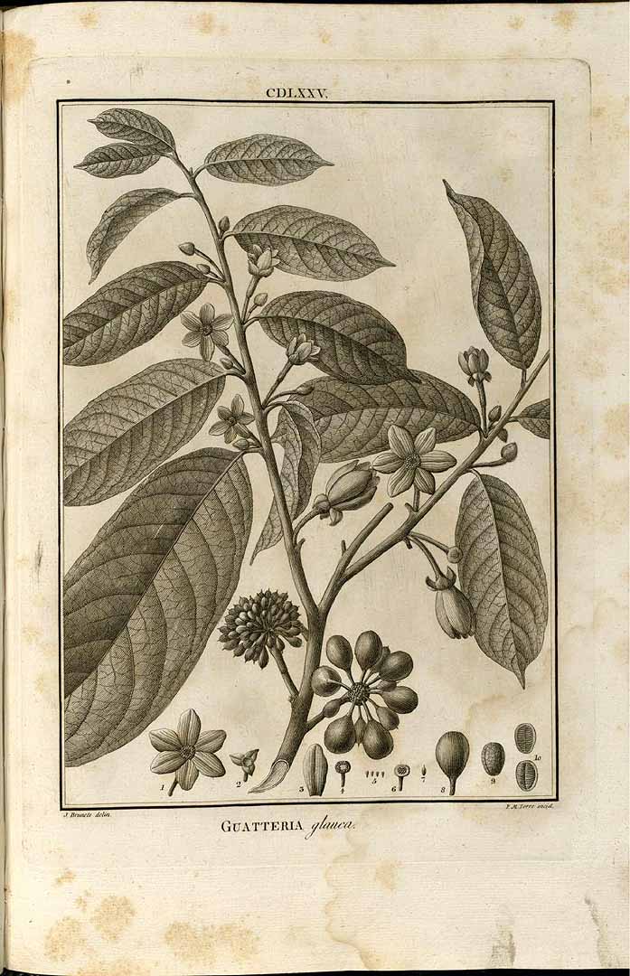 no HD illustration available (3)