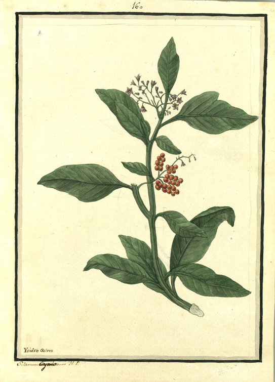 no HD illustration available (3)