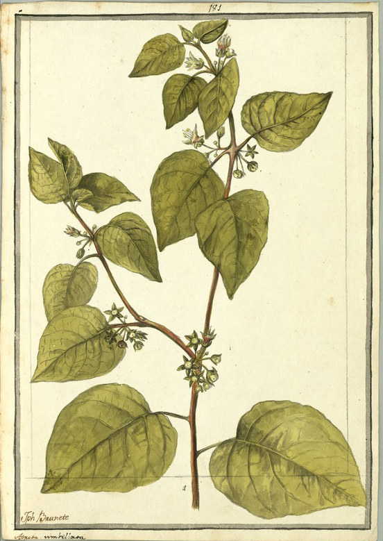 no HD illustration available (3)