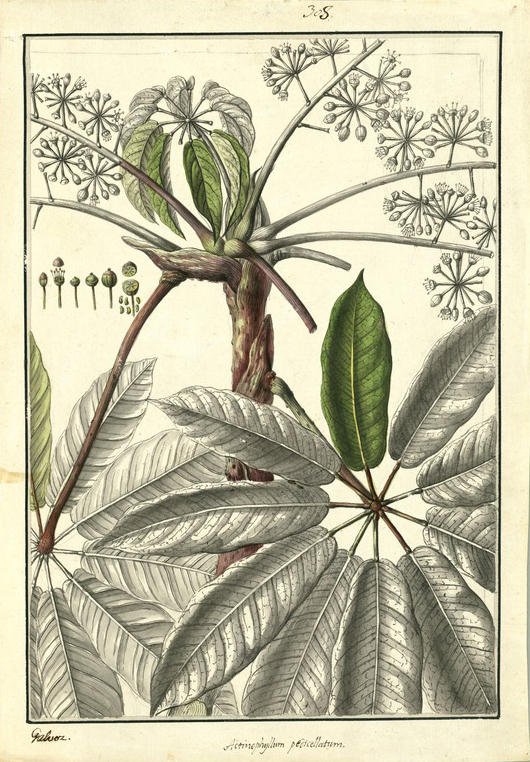 no HD illustration available (3)