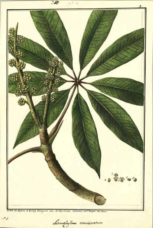 no HD illustration available (3)