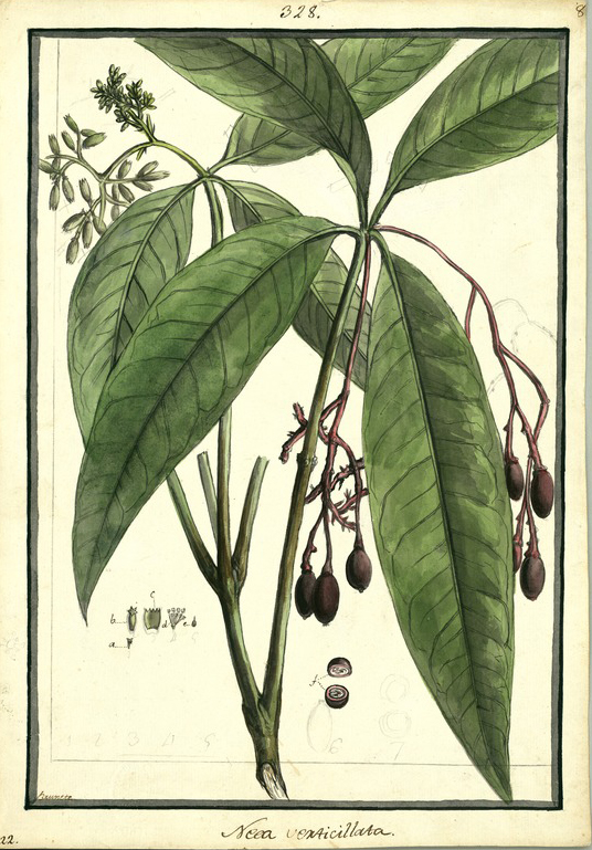 no HD illustration available (3)