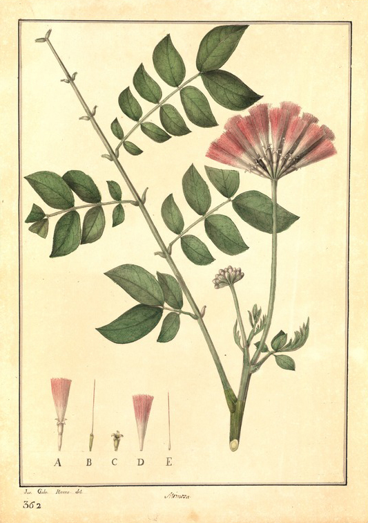 no HD illustration available (3)