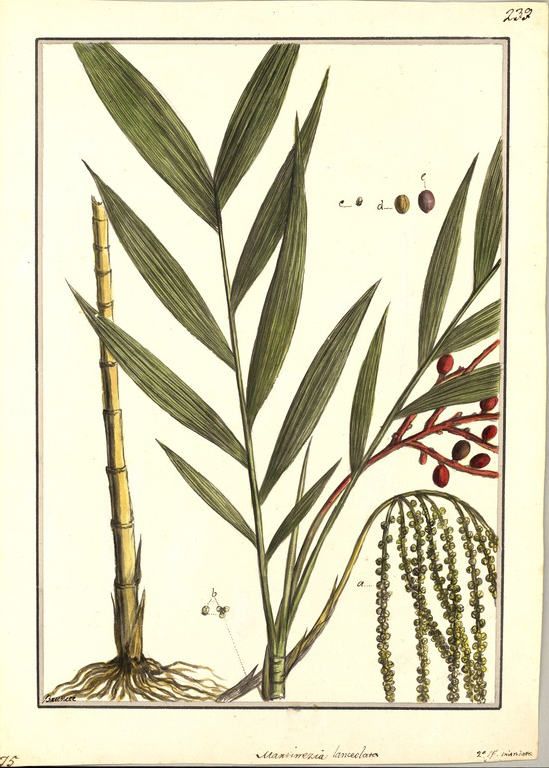 no HD illustration available (3)