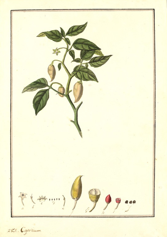 no HD illustration available (3)