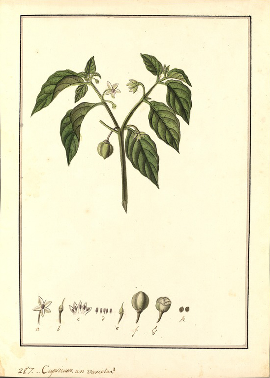 no HD illustration available (3)