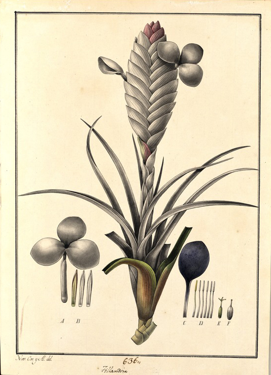 no HD illustration available (3)