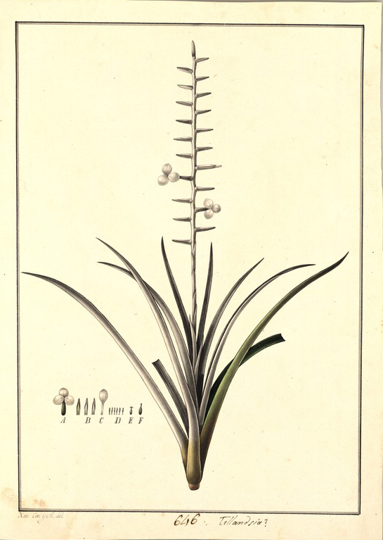 no HD illustration available (3)