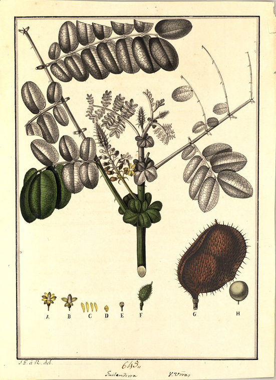 no HD illustration available (3)