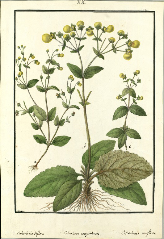 no HD illustration available (3)