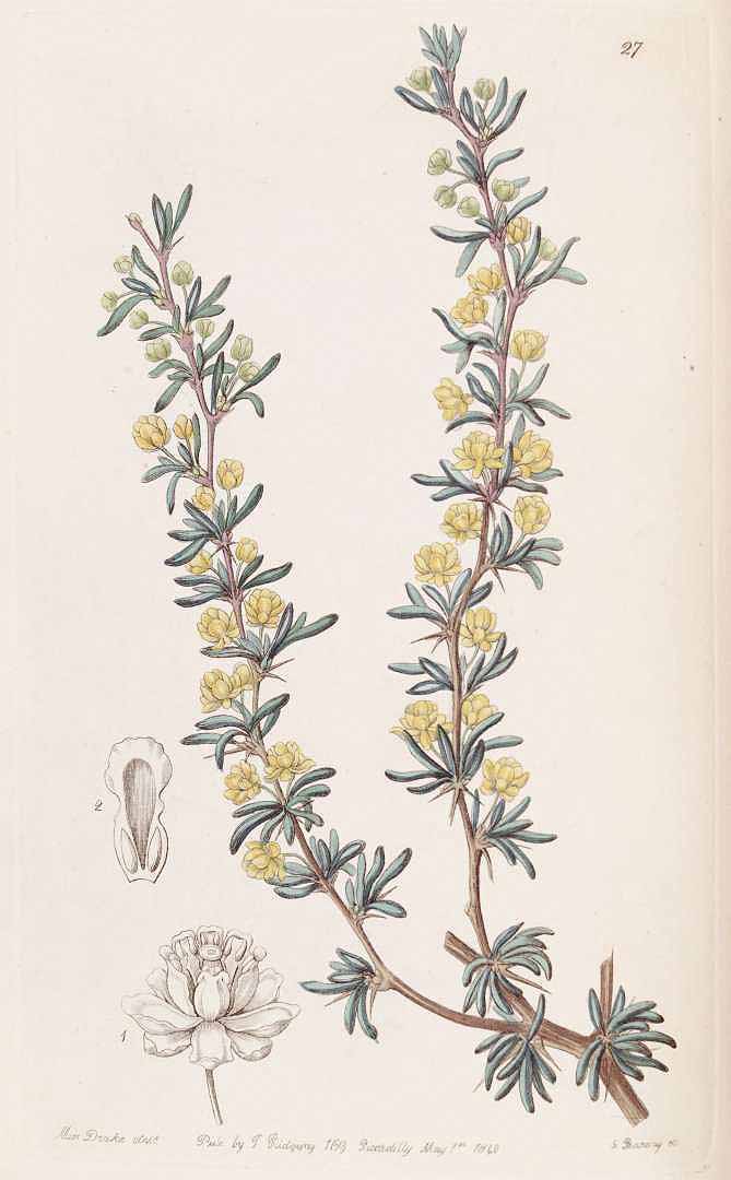 no HD illustration available (3)