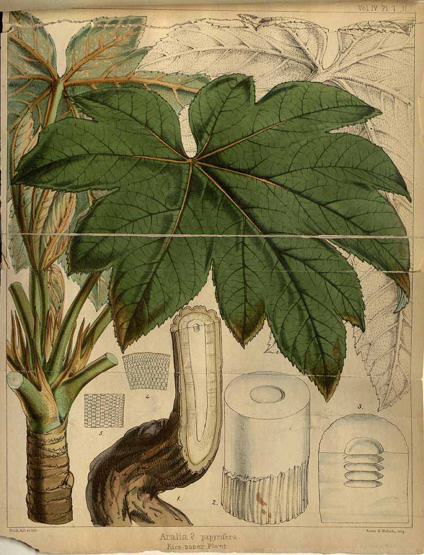 no HD illustration available (3)