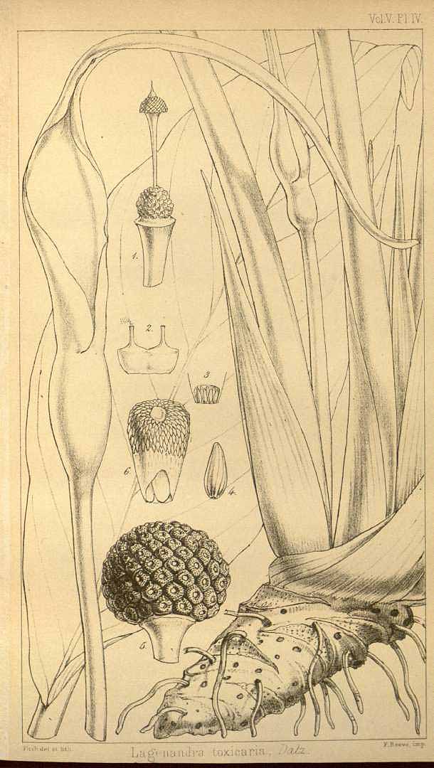 no HD illustration available (3)