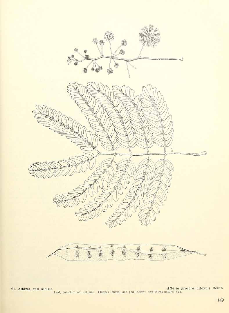 no HD illustration available (3)