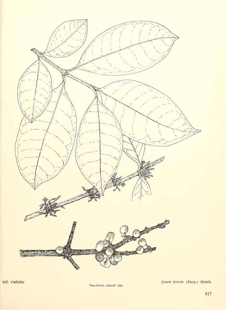 no HD illustration available (3)