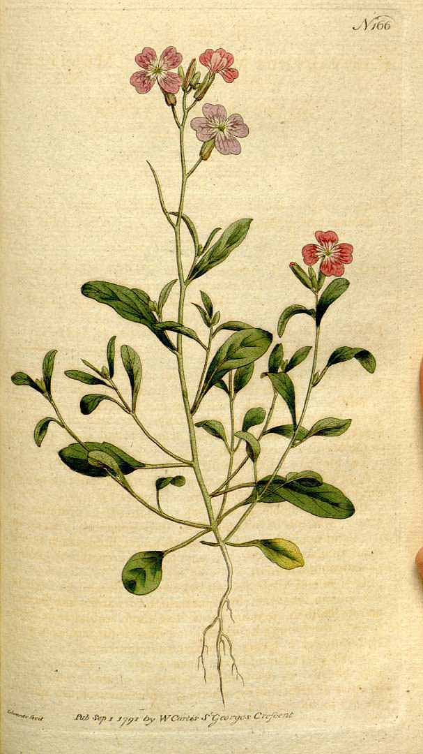 no HD illustration available (3)