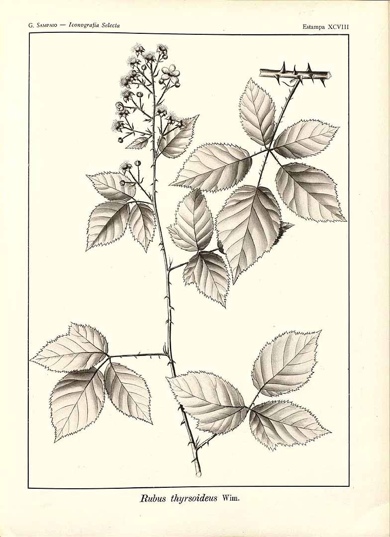 no HD illustration available (3)