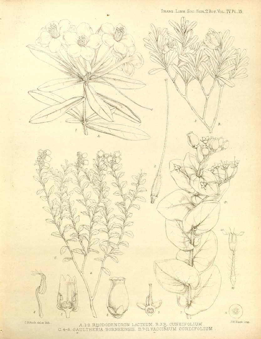 no HD illustration available (3)