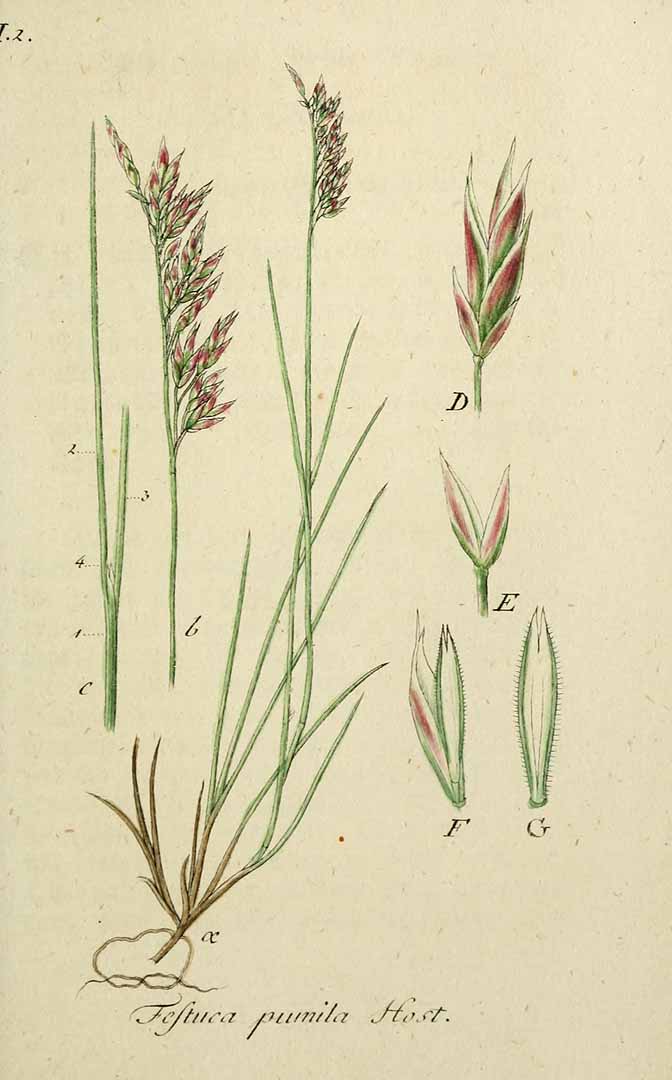 no HD illustration available (3)