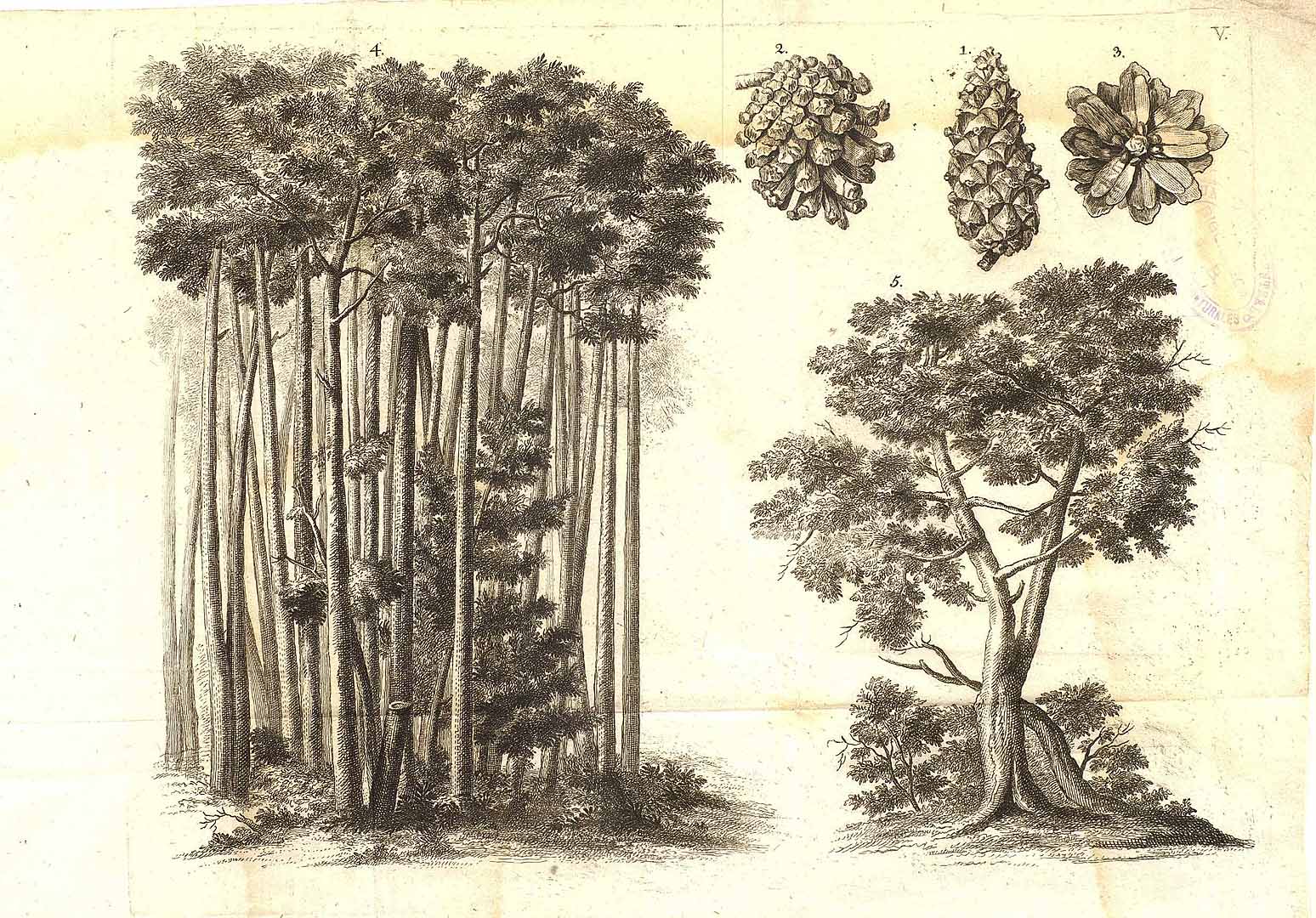 no HD illustration available (3)