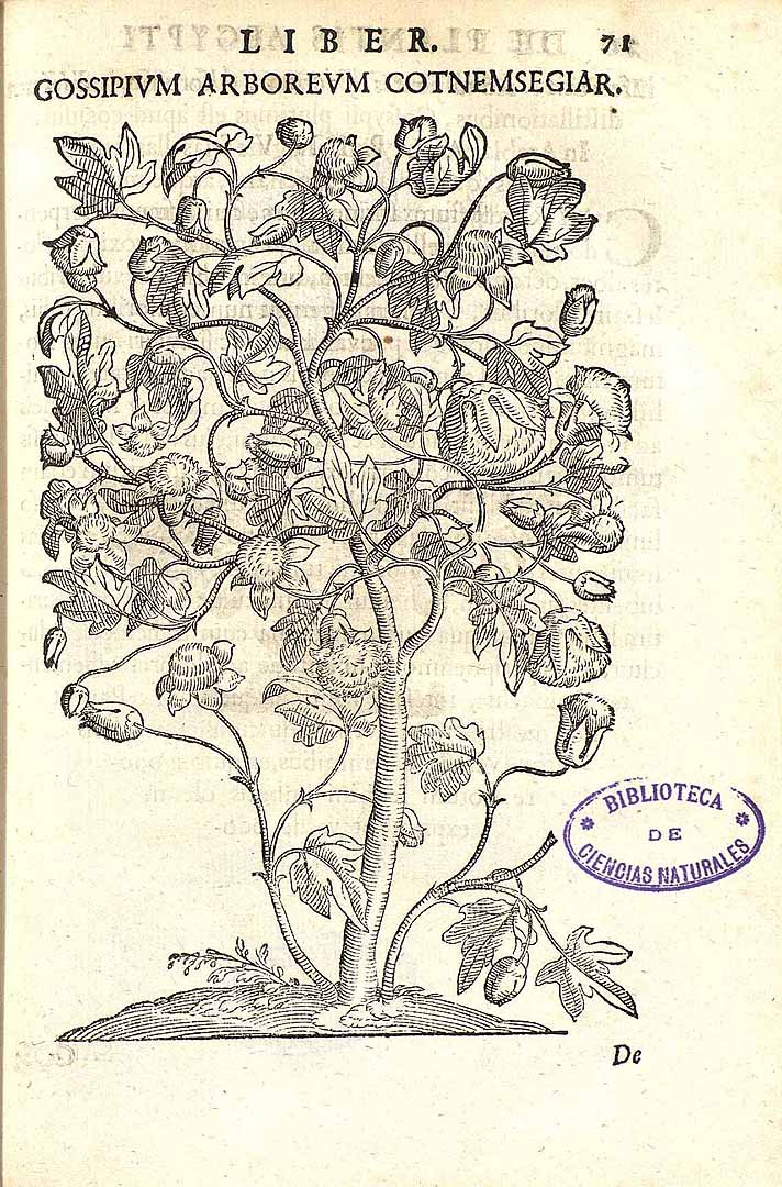 no HD illustration available (3)