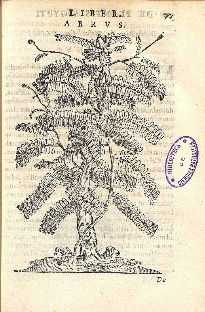 no HD illustration available (3)