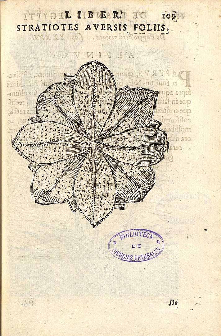 no HD illustration available (3)