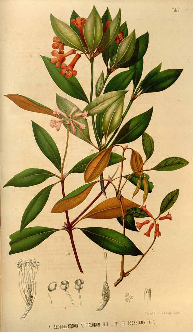 no HD illustration available (3)