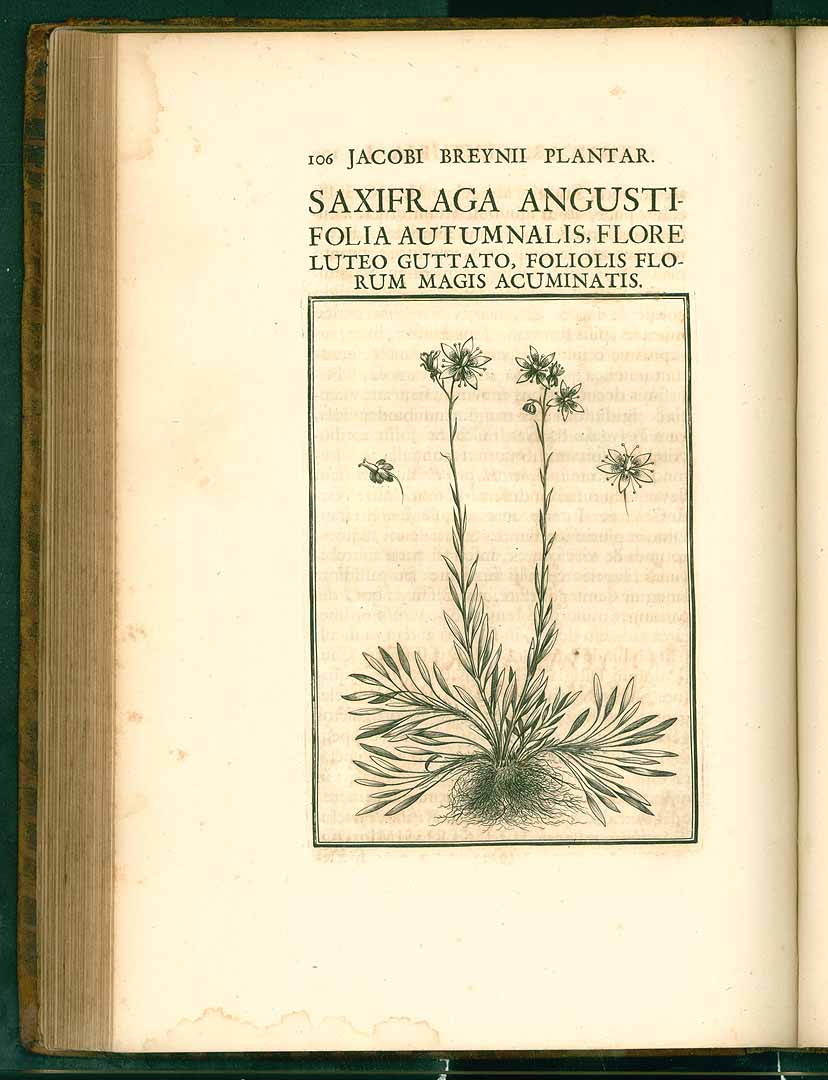 no HD illustration available (3)