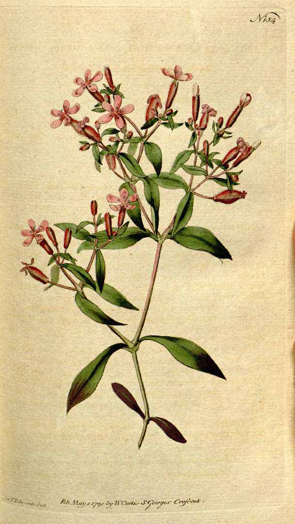 no HD illustration available (3)