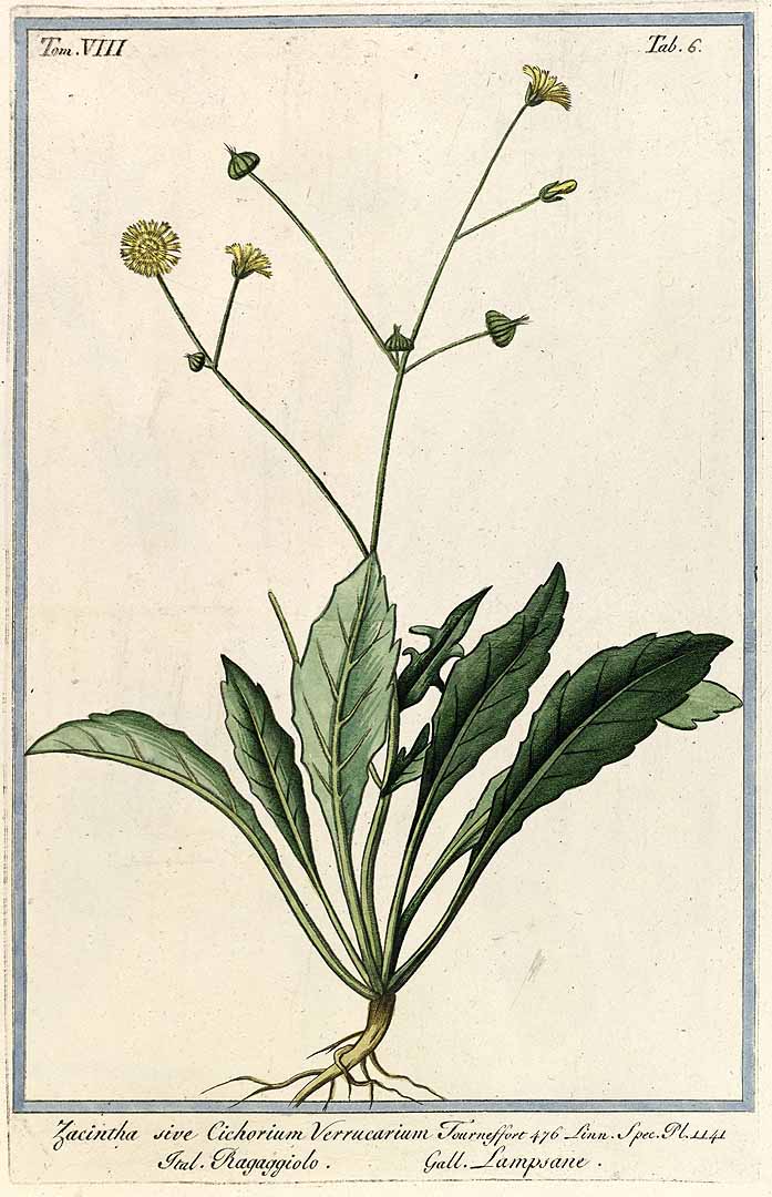 no HD illustration available (3)