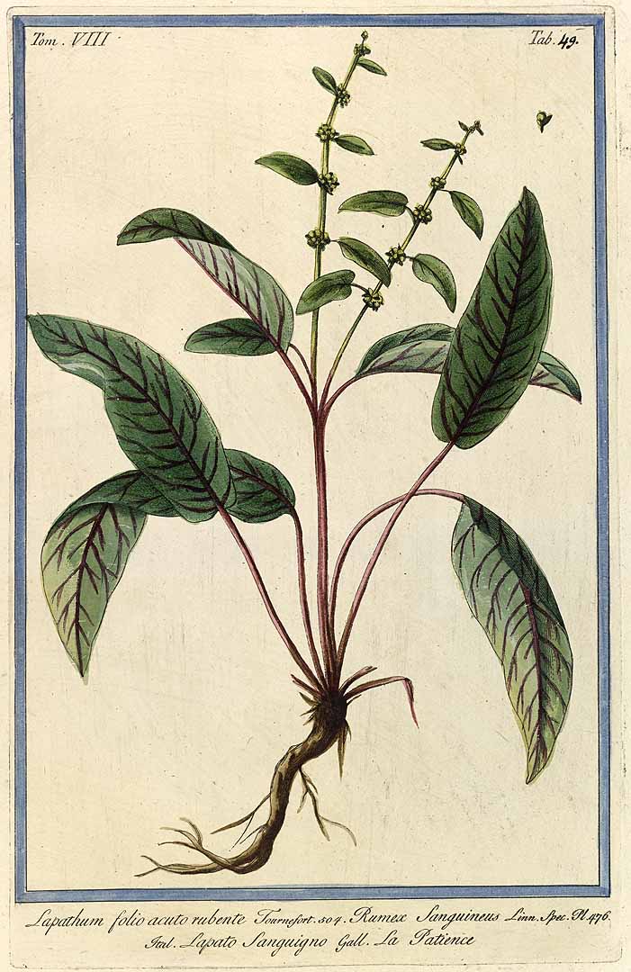 no HD illustration available (3)