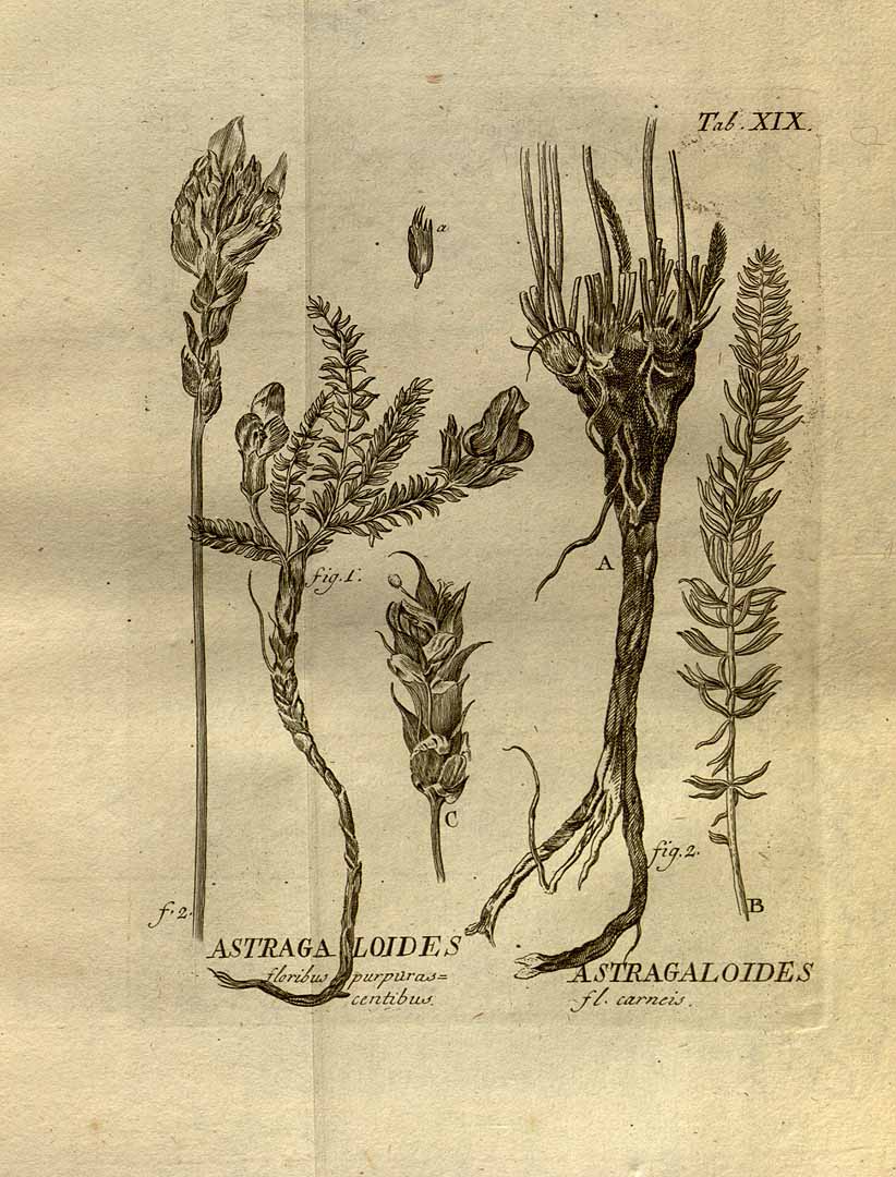 no HD illustration available (3)