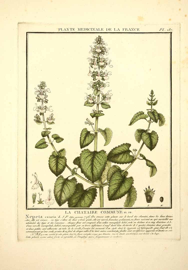 no HD illustration available (3)